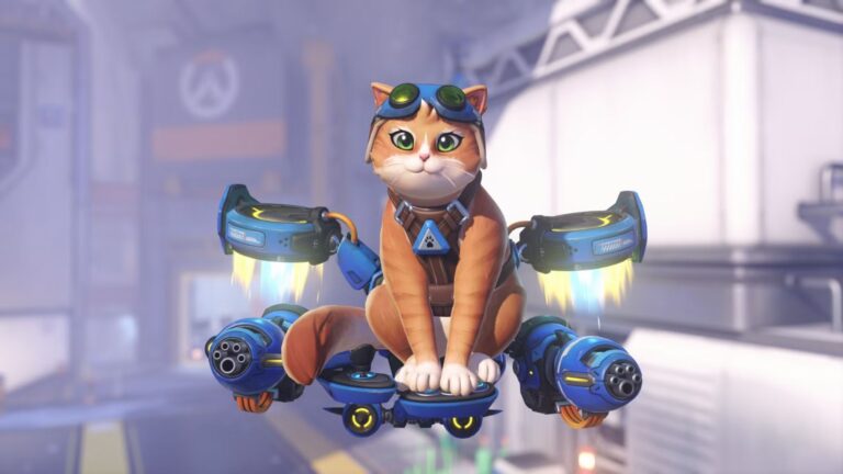 jetpack cat