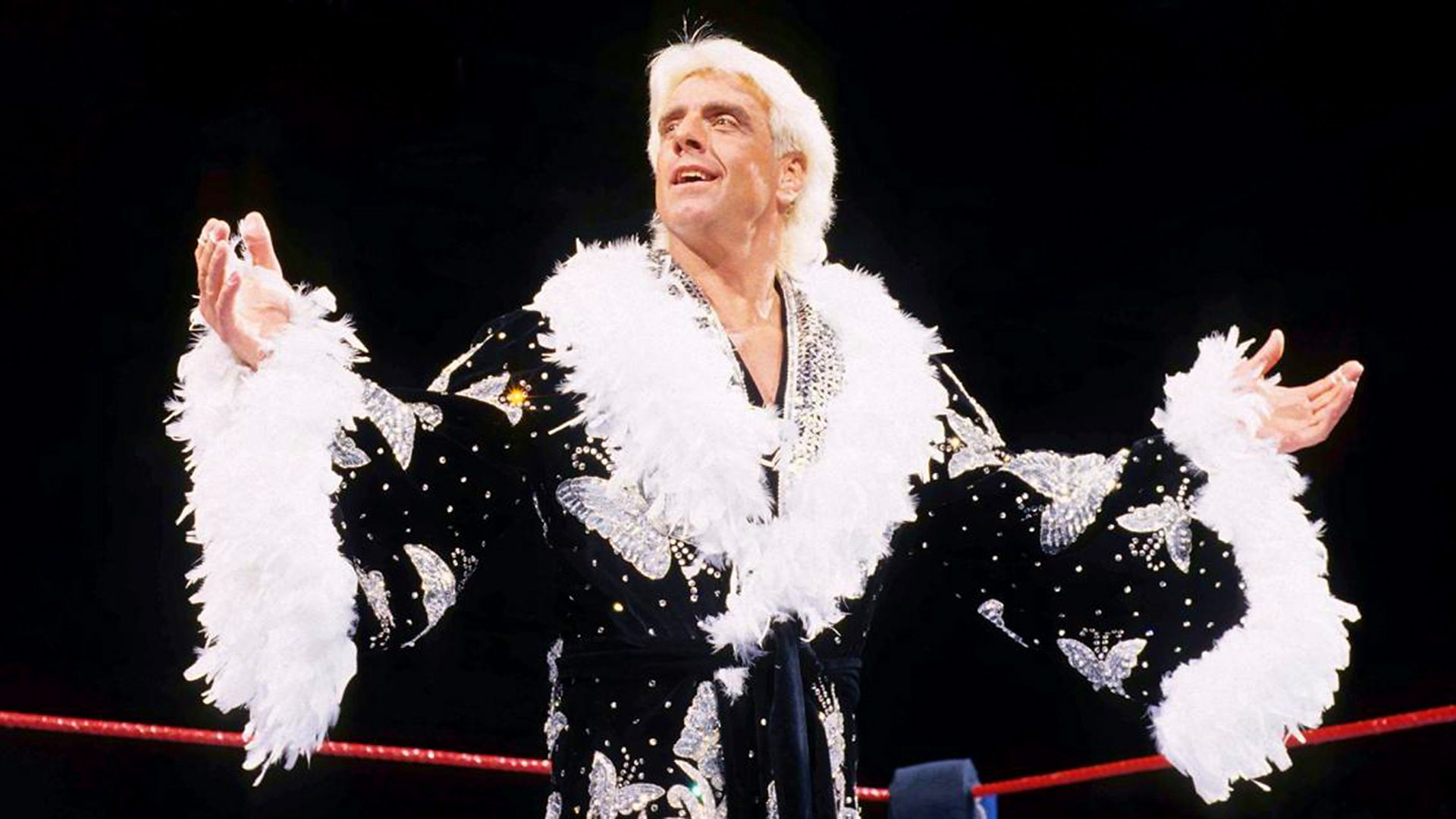 Ric Flair Legendary Wrestler